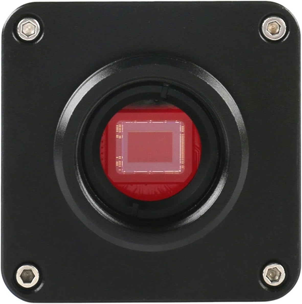 即日受渡❣️全国送料込ハイセンスHisense4k50V型外付HDD裏録画対応